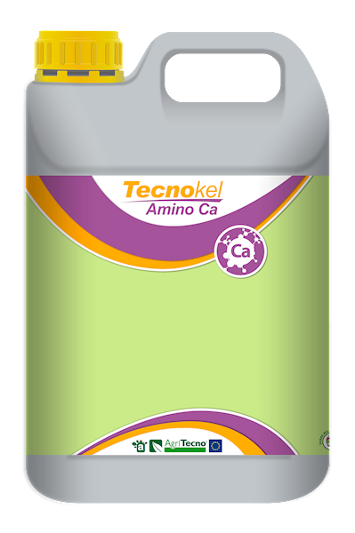 TECNOKEL AMINO CA A5L