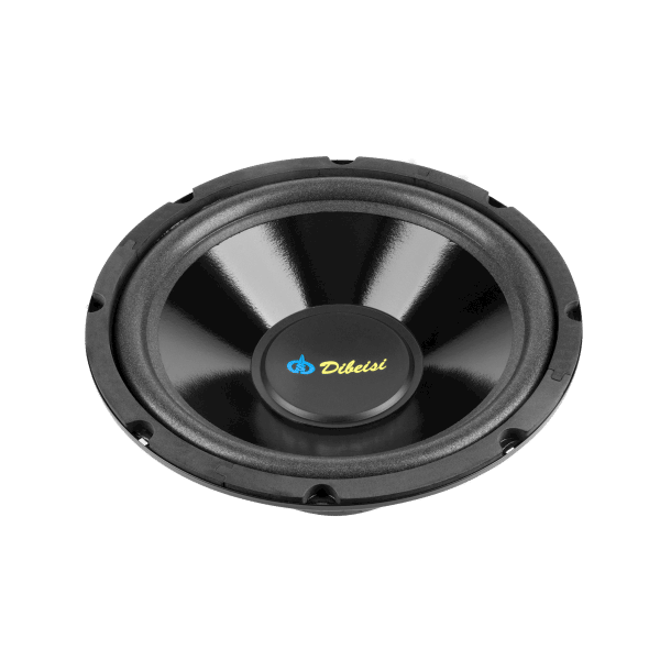 GŁOŚNIK DBS-G1002 10" 4Ohm Dibeisi