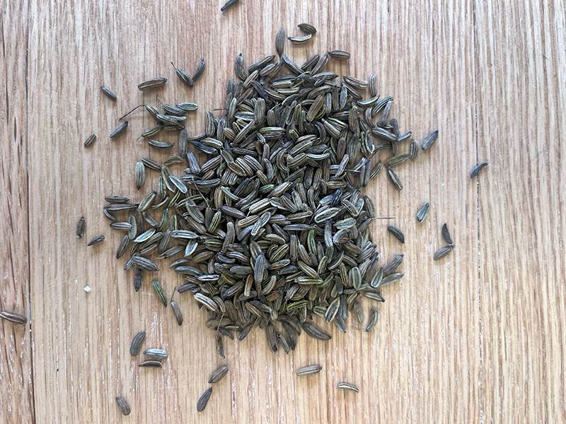 Koper włoski 100g