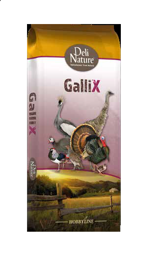 DELI Nat.(0315054) Gallix AUSTRI STRUSIE 20 kg