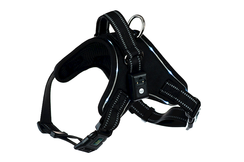 PLSZELLEDZMBK SZELKI LED Pojed. M Black
