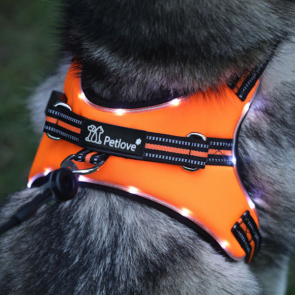 PLSZELLEDZSOR SZELKI LED Pojed. S Orange