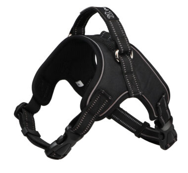PLSZELODBZXLBK SZELKI ODBLASK Pojed. XL Black