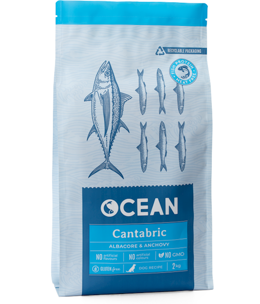 Ocean CANTABRIC - tuńczyk biały + sardela - 2 kg 