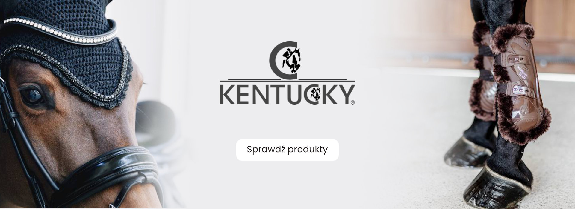 banner2.jpg