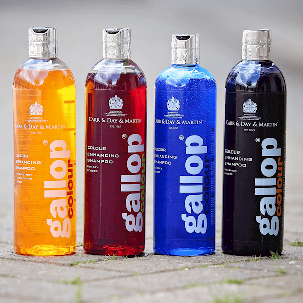 C&D&M Gallop Colour - Szampon