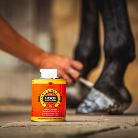 C&D&M Daily HOOF Moistures- olej nawilżający 500ml