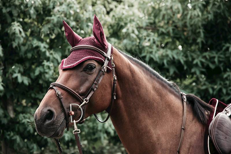 Nauszniki Kentucky Corduroy - bordo