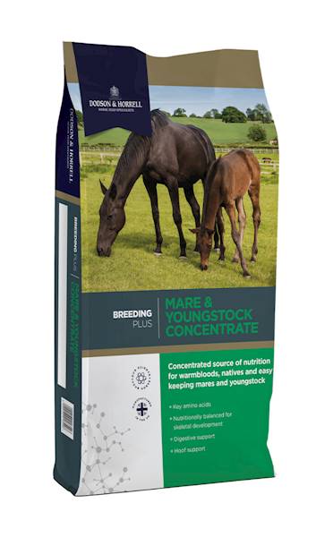 Dodson & Horrell Mare & Young Concentrat - koncent