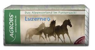 AGROBS Luzerne + kliniczna sieczka na wrzody 15 kg