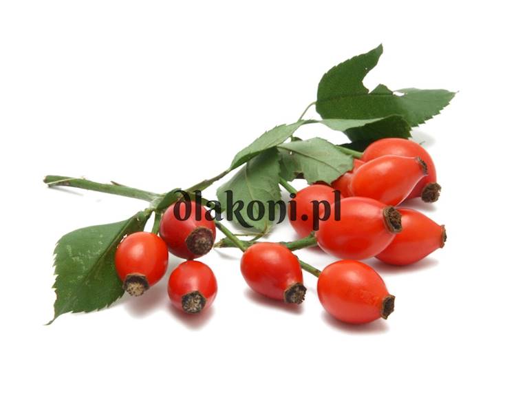 EQUIHERBS Dzika Róża 2,5kg