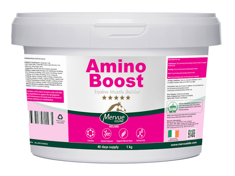 Mervue AminoBoost Equine 1kg