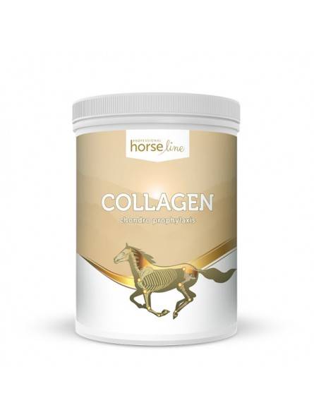 Kolagen 800g dla koni