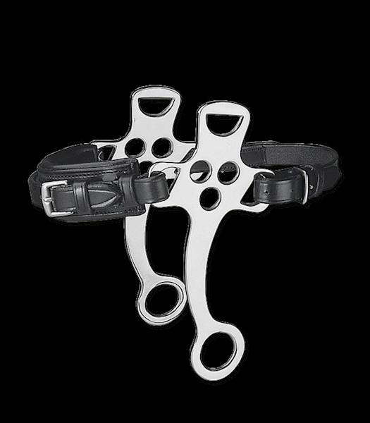 Hackamore Waldhausen