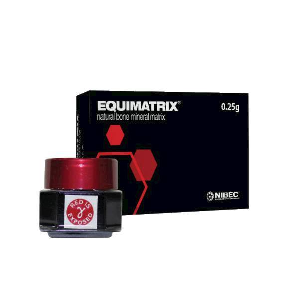 NIBEC - Materiał kościozastępczy koński EQUIMATRIX, 1g, 0.2-1.0