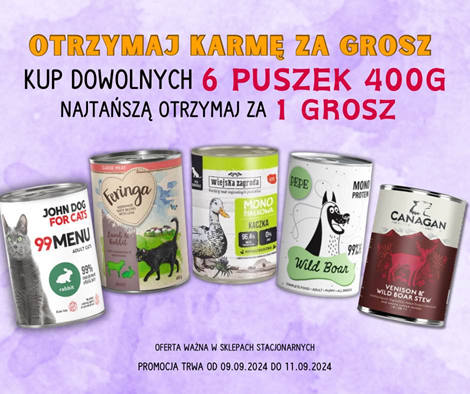 Promocja 5+1