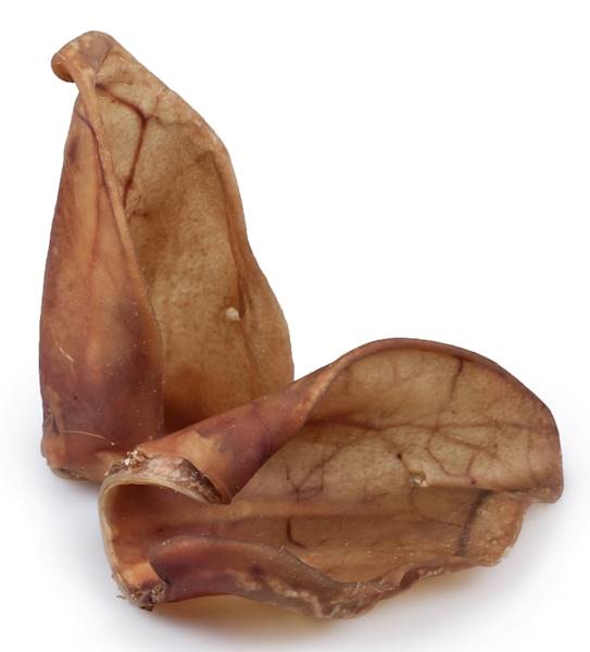 UCHO WIEPRZOWE DUŻE 