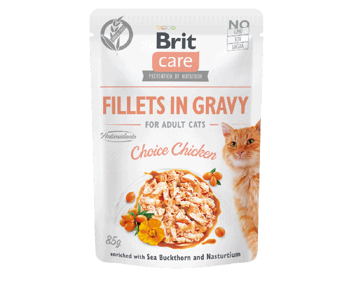 BRIT CARE 85G KOT FILECIKI W SOSIE KURCZAK