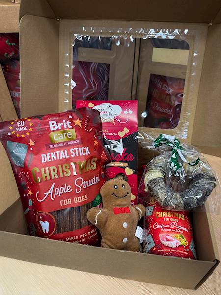 PACZKA PREZENTOWA MAŁA PIES