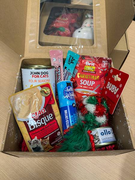 PACZKA PREZENTOWA KOT