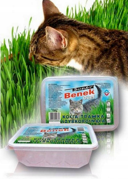 SUPER BENEK TRAWKA DLA KOTA SZYBKOROSNĄCA 150G