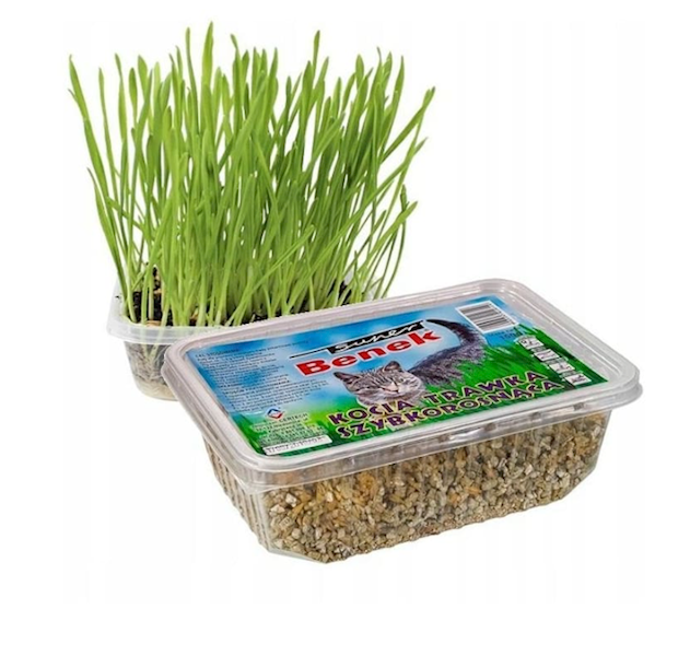 SUPER BENEK TRAWKA SZYBKOROSNĄCA DLA KOTA 150G