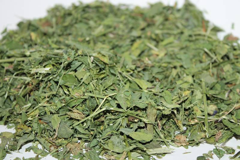 PEŁNE KORYTKO LUCERNA 100G