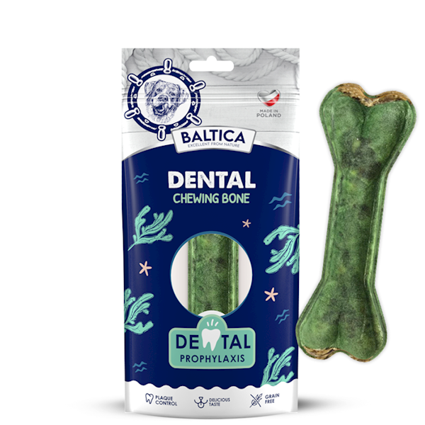 BALTICA KOŚĆ DENTAL
