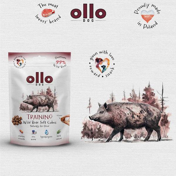 OLLO TRAINING CUBES DZICZYZNA 80G