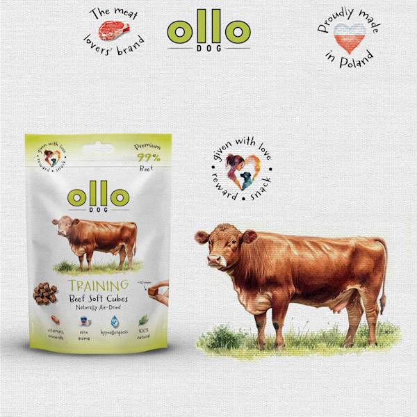 OLLO TRAINING CUBES WOŁOWINA 80G