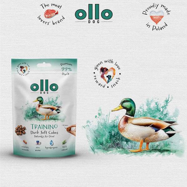OLLO TRAINING CUBES KACZKA 80G
