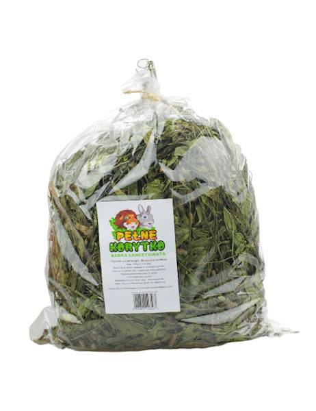 PEŁNEKORYTKO BABKA LANCETOWATA 300G