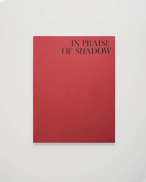 In Praise of Shadow Tomasz Kawecki