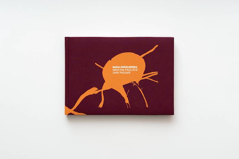Basia Sokołowska Mroczne przejście
