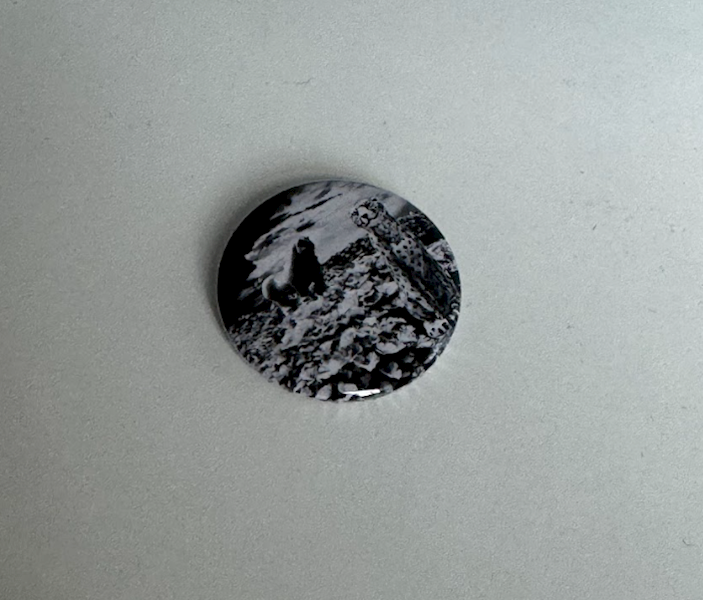 PIN MAŁY RYDET