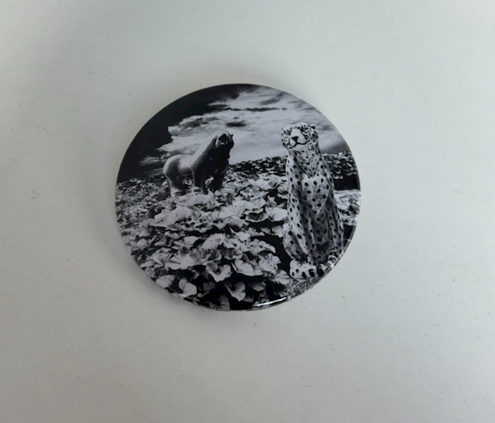 PIN DUŻY RYDET