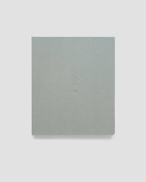 Oracle. Andrea Koesters