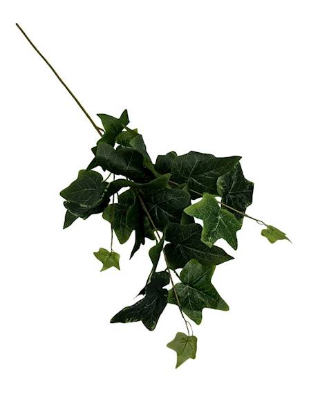 Bluszcz gałązka 70 cm