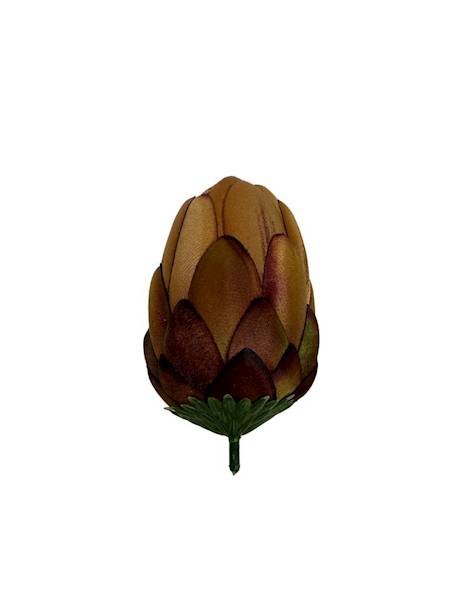 Protea główka wys. 10 cm brąz
