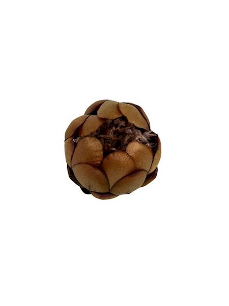 Protea główka wys. 10 cm brąz