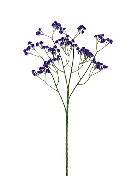 Gipsówka gałązka 62 cm fiolet