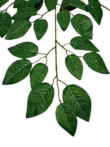 Liść róży 60 cm zielony