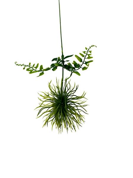 Dodatek czosnek 46 cm zielony