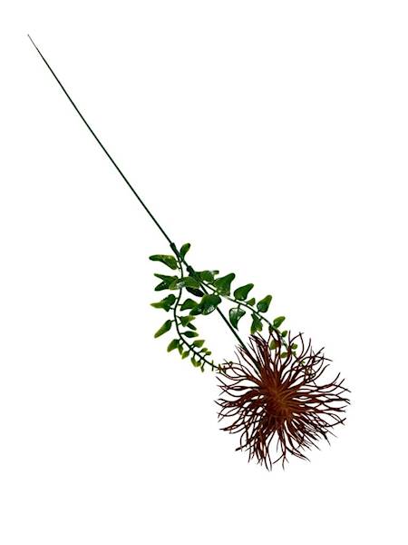 Dodatek czosnek 46 cm brąz