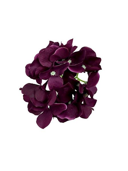 Hortensja główka 13 cm purpurowa