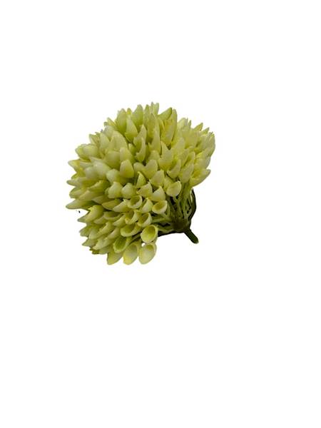 Czosnek główka plastikowa 9 cm jasny żółty