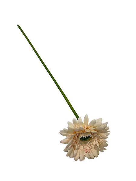 Gerbera gałązka 49 cm delikatny beż