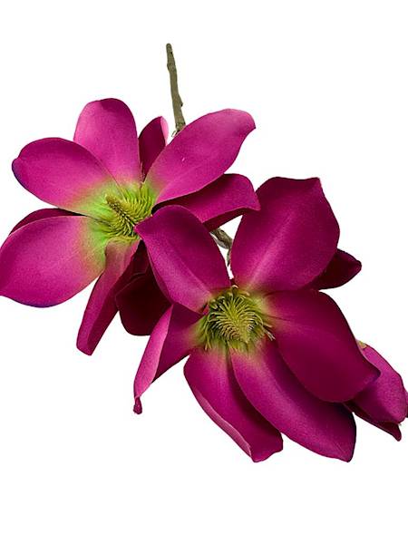 Magnolia gałązka 40 cm fuksja