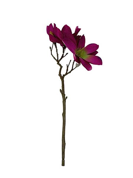 Magnolia gałązka 40 cm fuksja