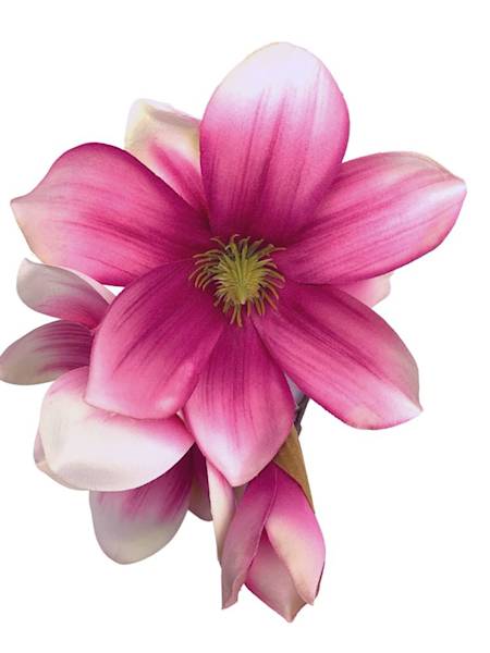 Magnolia gałązka 40 cm różowy